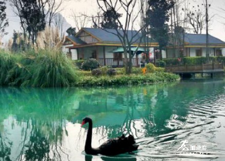 成都附近露營(yíng)的好地方，小魚(yú)洞斷橋漁歌，燒烤、玩水、爬山都齊了